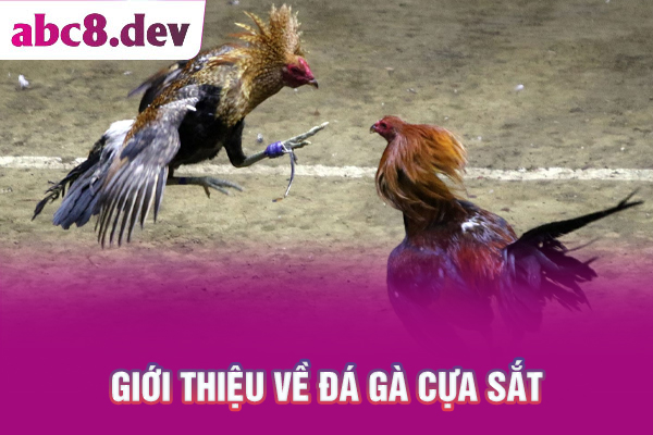 Giới thiệu về đá gà cựa sắt