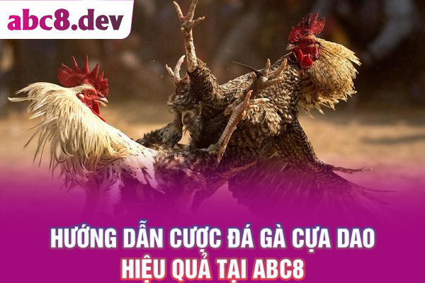 Hướng dẫn tham gia cược đá gà cựa dao hiệu quả tại ABC8